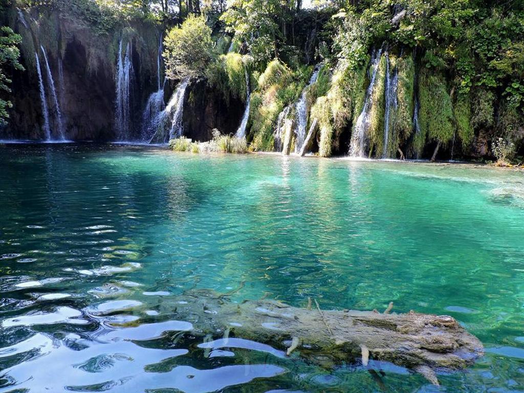 Villa Oleander Marina Dış mekan fotoğraf